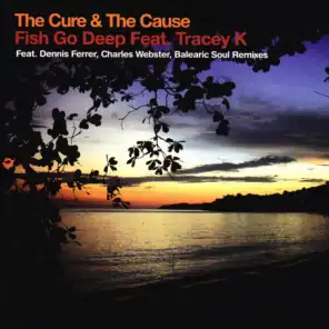 The Cure & the Cause (feat. Tracey K) [Dennis Ferrer Remix]