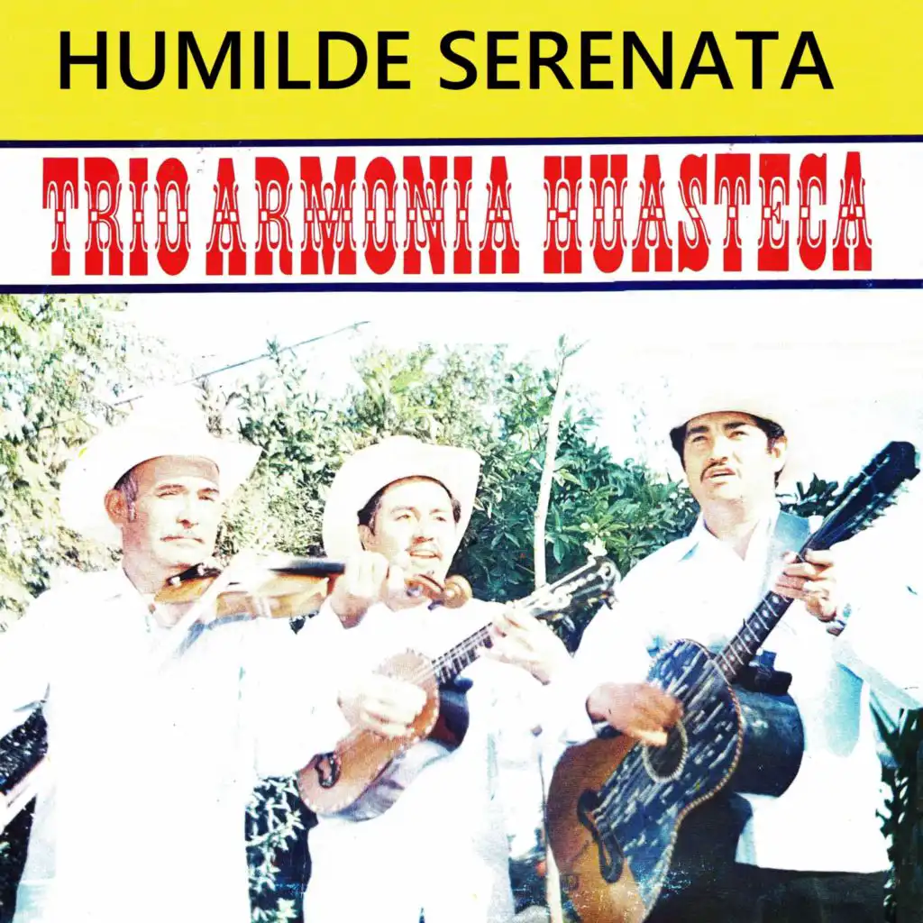 Humilde Serenata