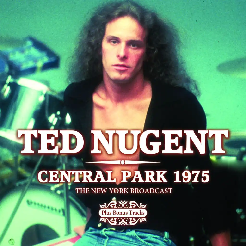 Central Park 1975