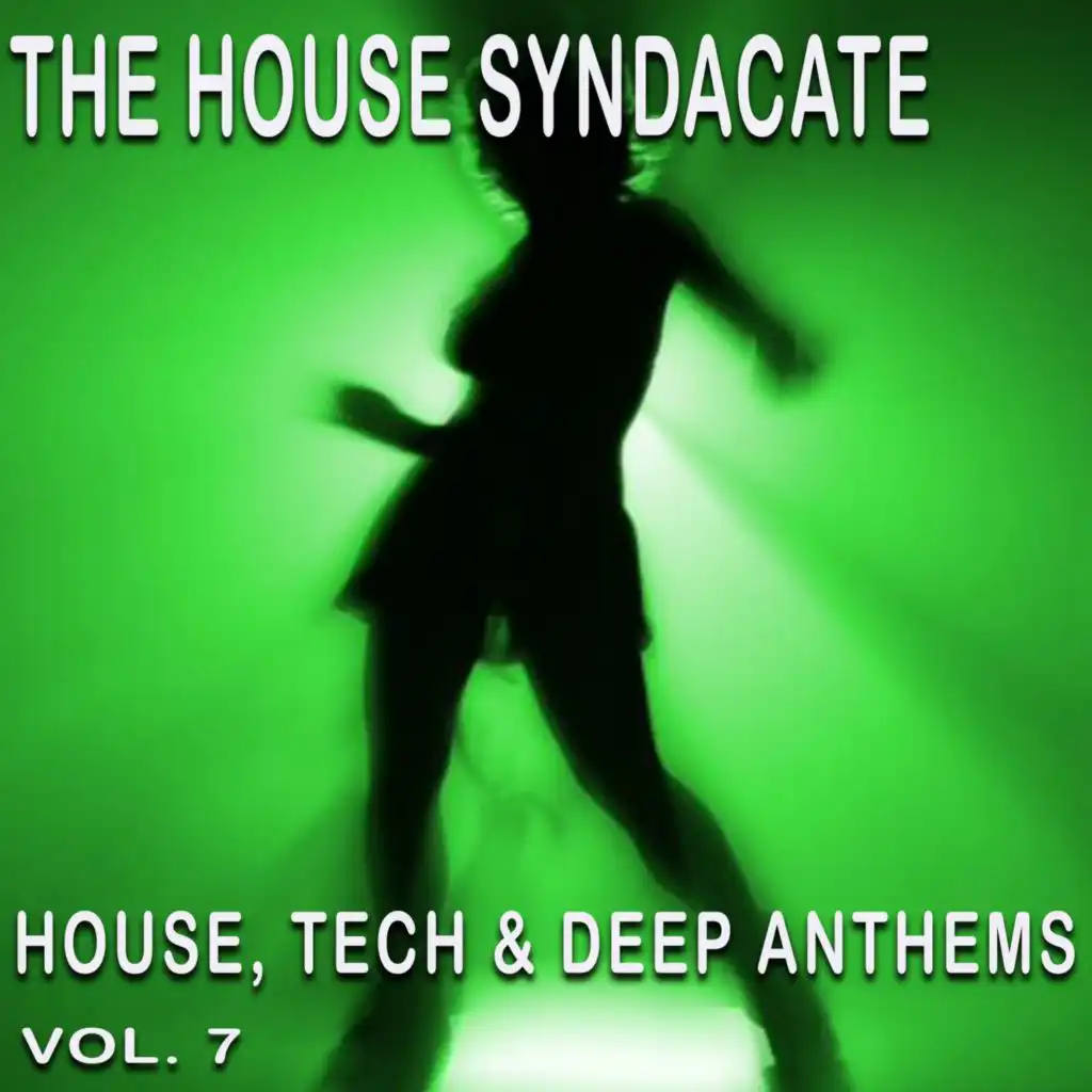 The House Syndacate, Vol. 7