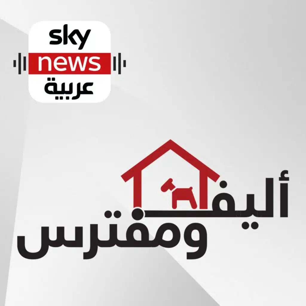 قصص أبناء دولة الإمارات والرفق بالحيوانات المشردة