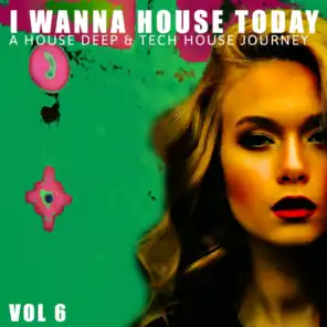 I Wanna House Today!, Vol. 6