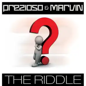 The Riddle (Radio Edit Mix)
