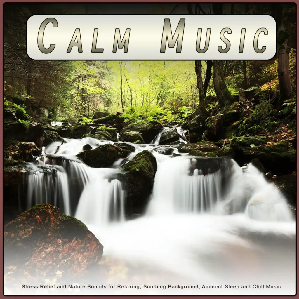 Calm Music: Stress Relief and Nature Sounds for Relaxing, Soothing Background, Ambient Sleep and Chill Music