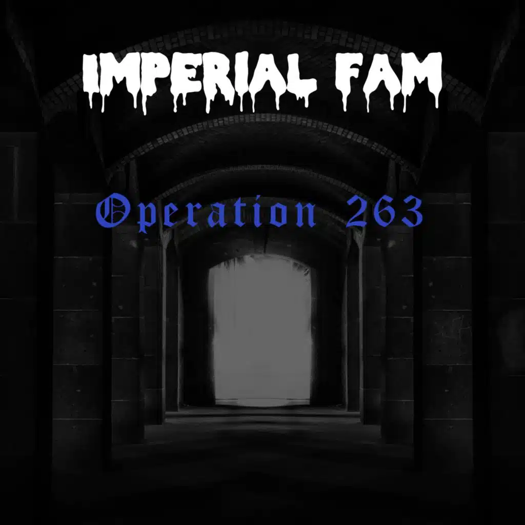 Operation 263