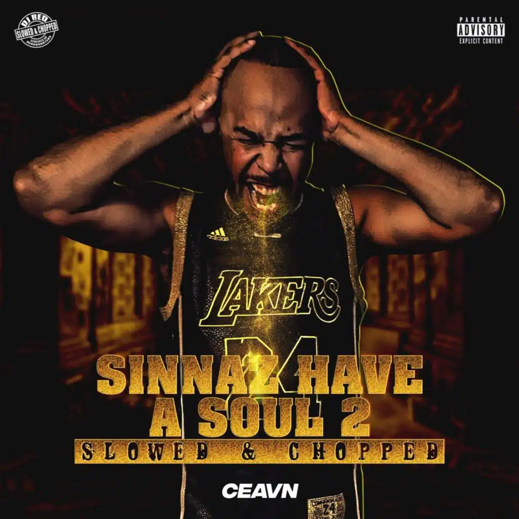 Sinnaz Have a Soul 2 (Slowed & Chopped)