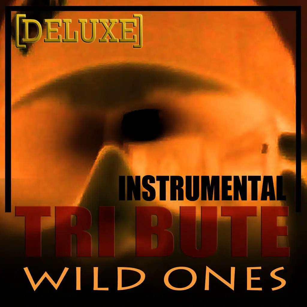 Wild Ones (Flo Rida feat. Sia Deluxe Tribute)