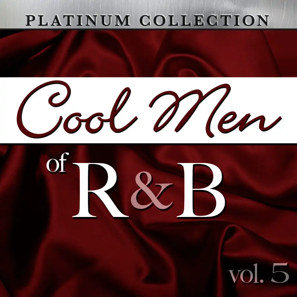 Cool Men of R&B, Vol. 5