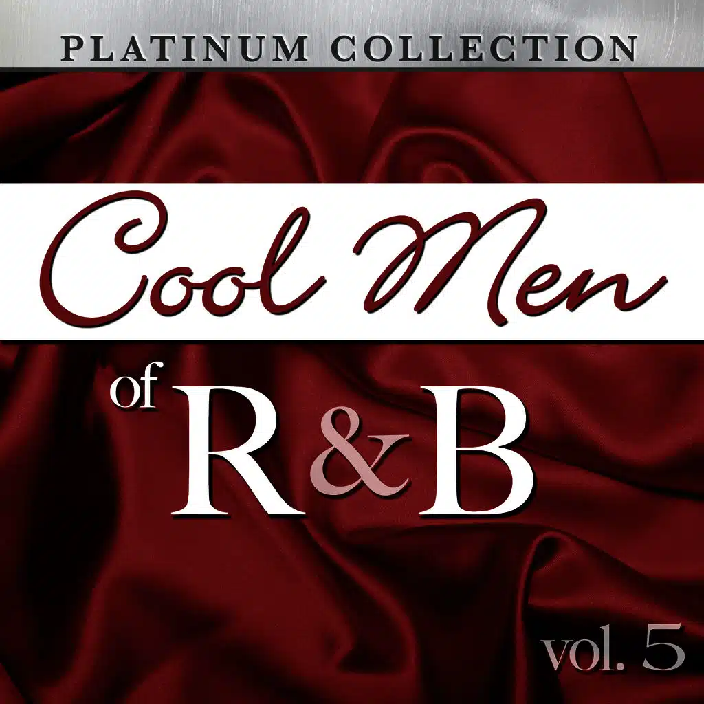 Cool Men of R&B, Vol. 5
