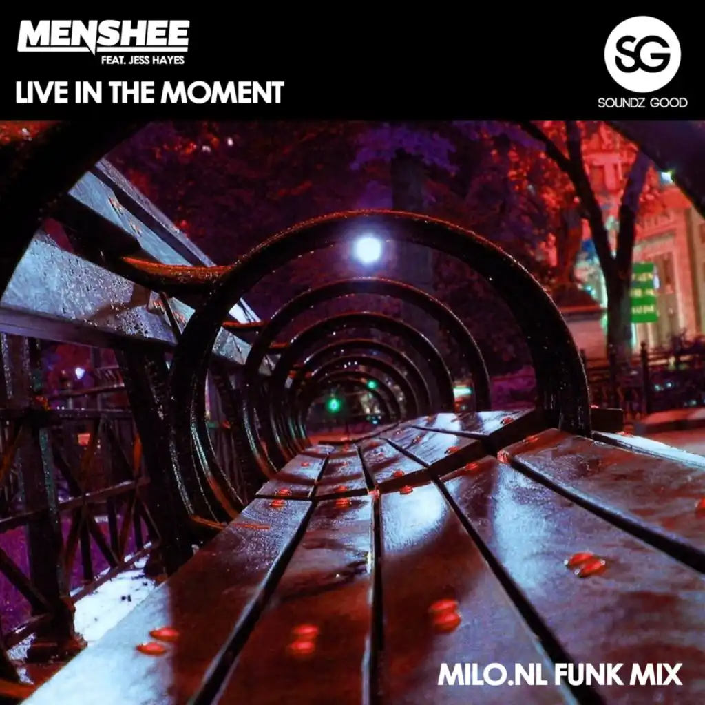 Live in the Moment (feat. Jess Hayes) [Milo.nl Funk Mix]