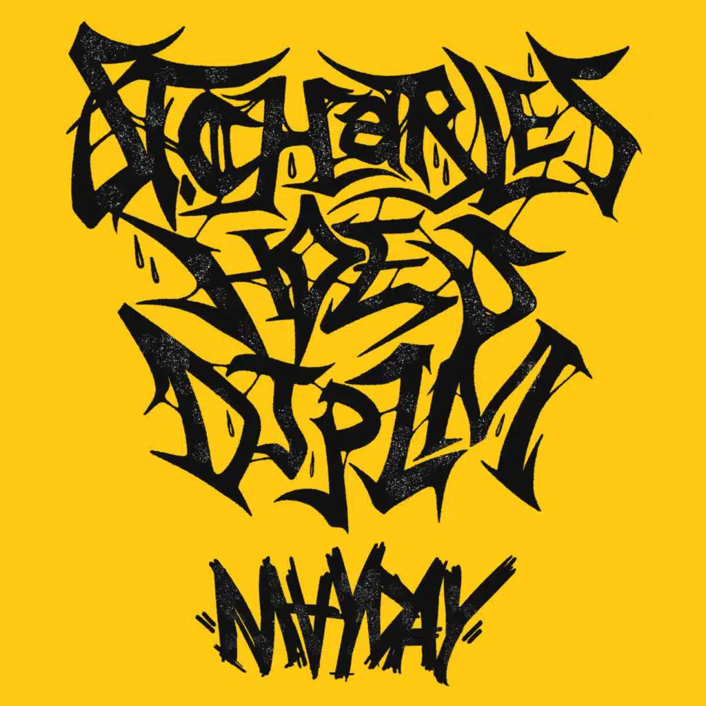 Dj Plm & St Charles Hoes