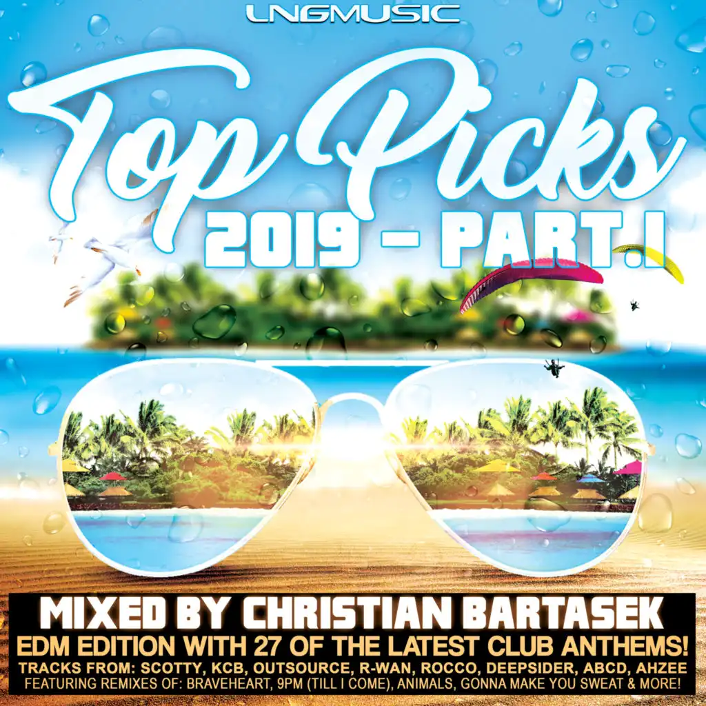 Top Picks 2019, Pt. 1 (EDM Edition)