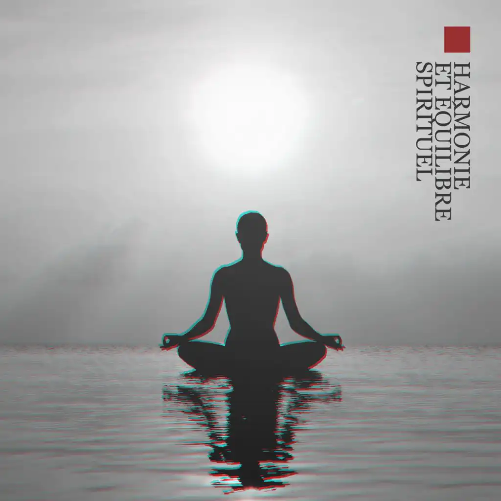 Méditation profonde (feat. Ensemble de Musique Zen Relaxante)