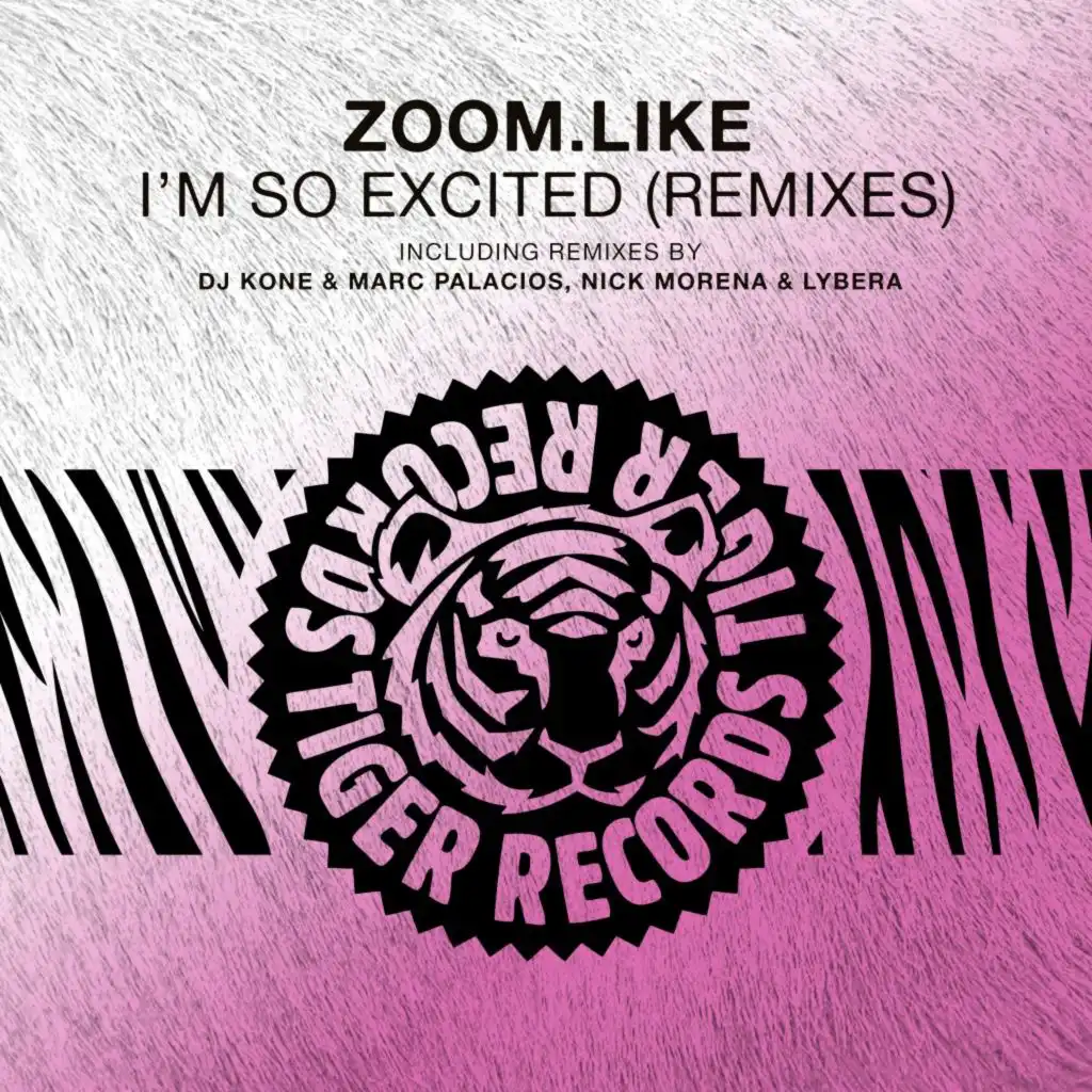 I'm so Excited (DJ Kone & Marc Palacios Extended Remix)