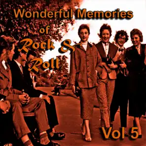 Wonderful Memories of Rock & Roll, Vol. 5
