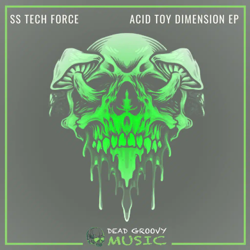 Acid Toy Dimension