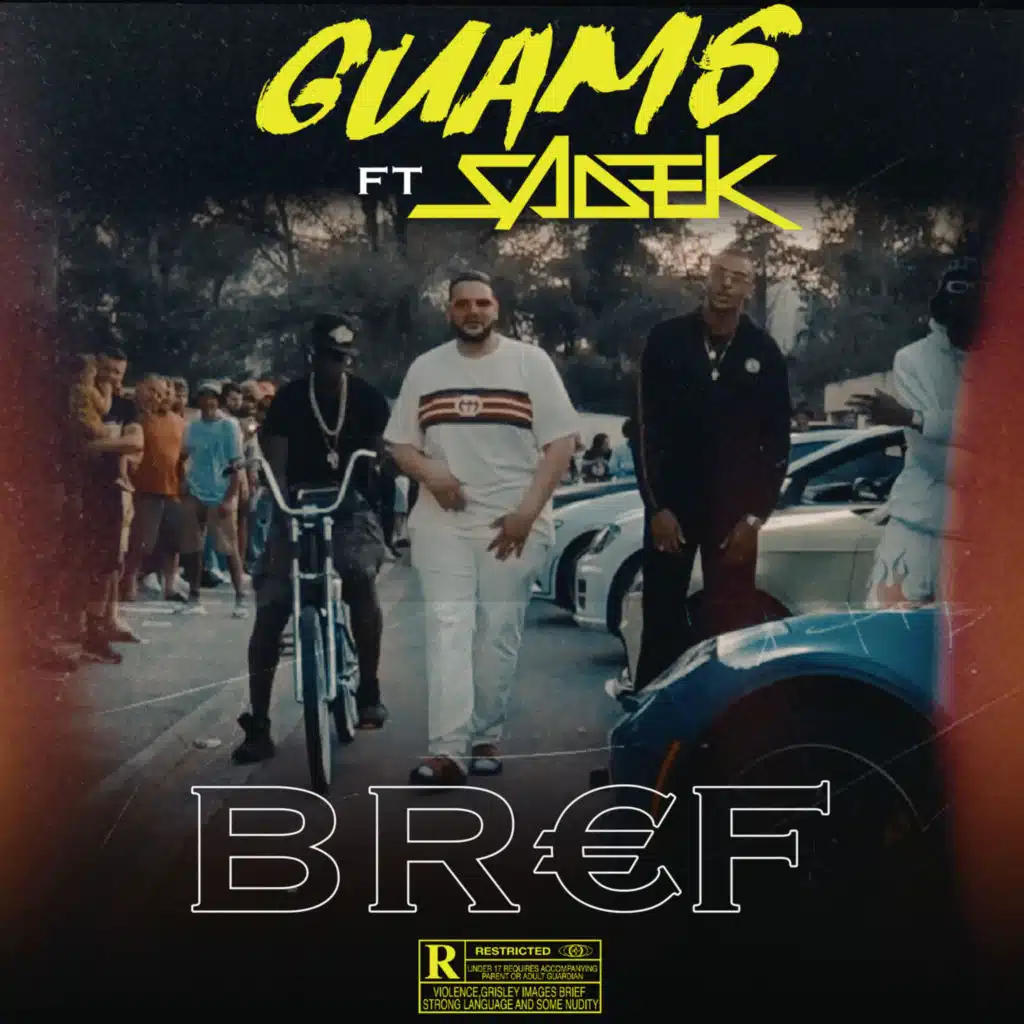Bref (feat. sadek)