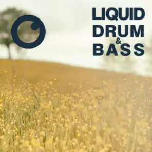 Liquid Drum & Bass Sessions 2021 Vol 47