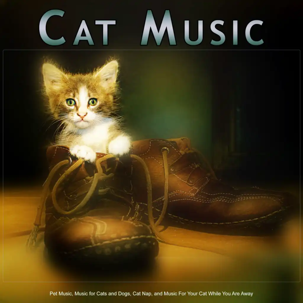 Music For Cats, Cat Music, Music for Pets