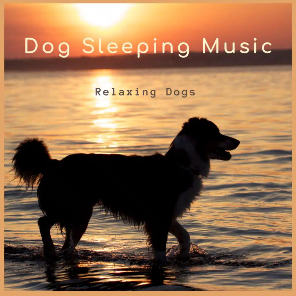 Dog Sleeping Music