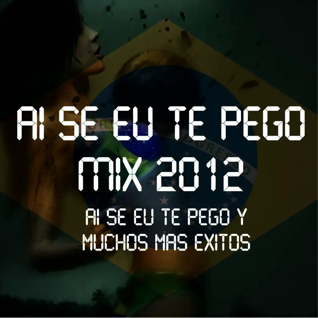 Ai Se Eu Te Pego Mix 2012