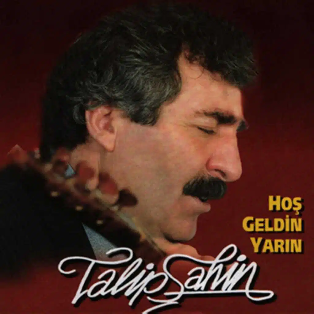 Talip Şahin