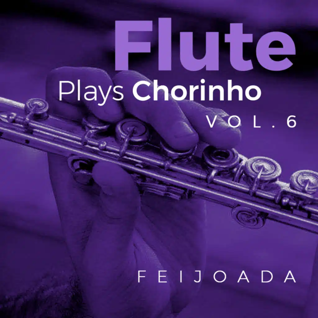 Flute Plays Chorinho, Vol. 6 (feat. Ivan Melillo & Bruno Vinci)