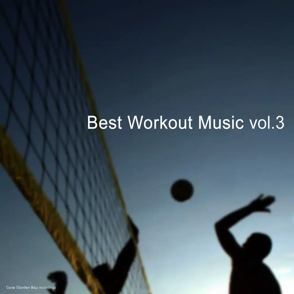 Best Work Out Music, Vol. 3