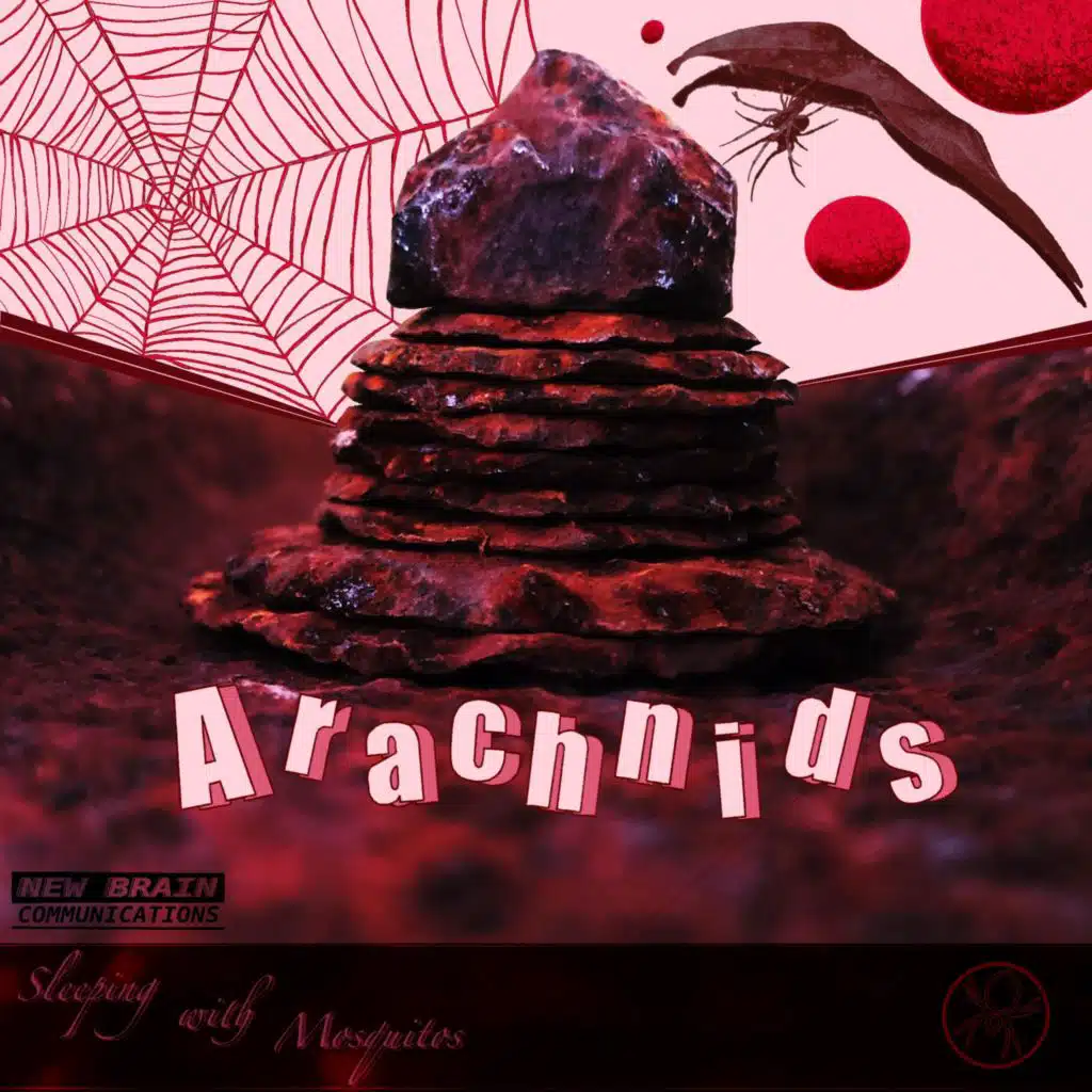 Sleeping with Mosquitos