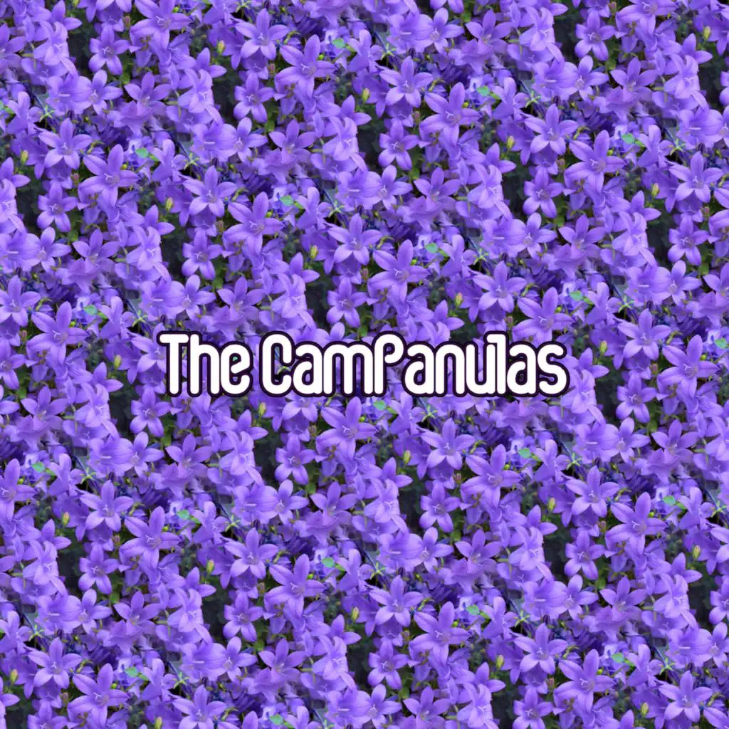 The CamPanulas