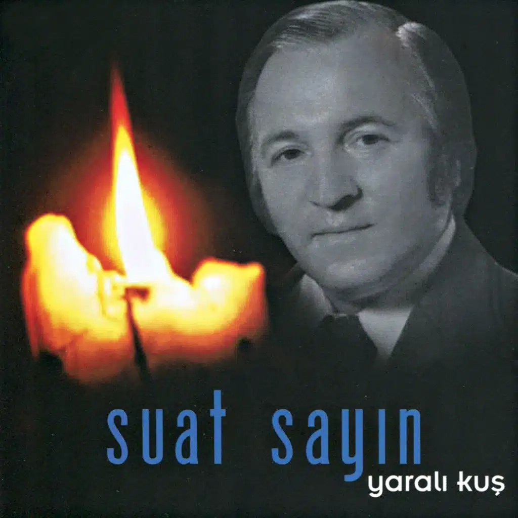 Yaralı Kuş