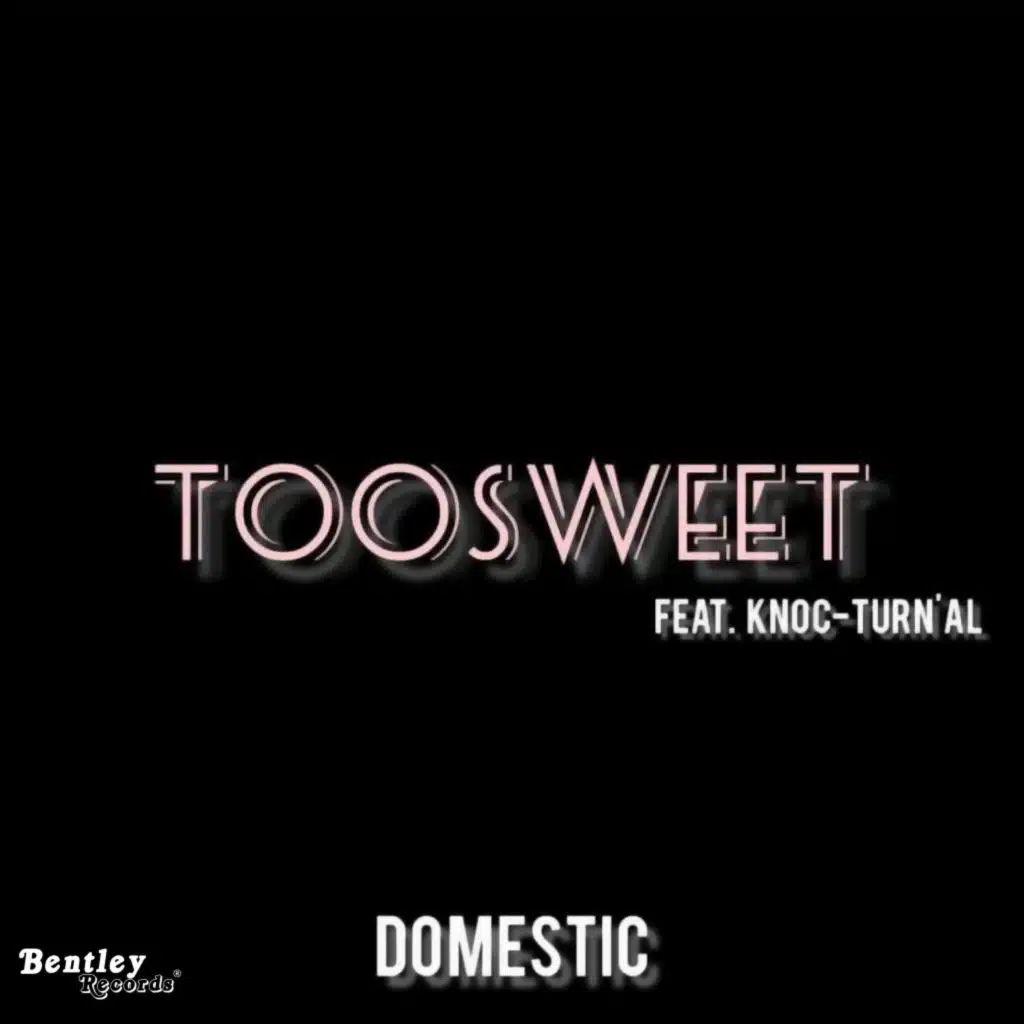 Domestic (feat. Knoc-Turn'al)