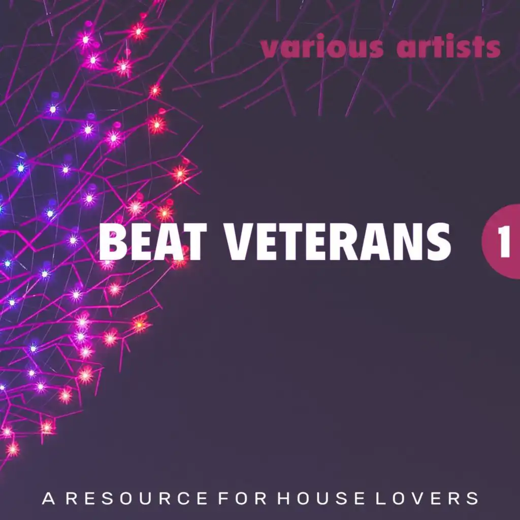 Beat Veterans, Vol. 1