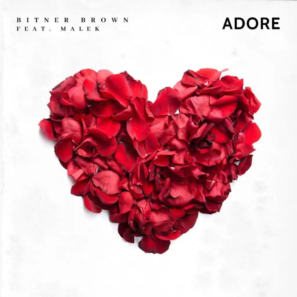 Adore (feat. Malek)