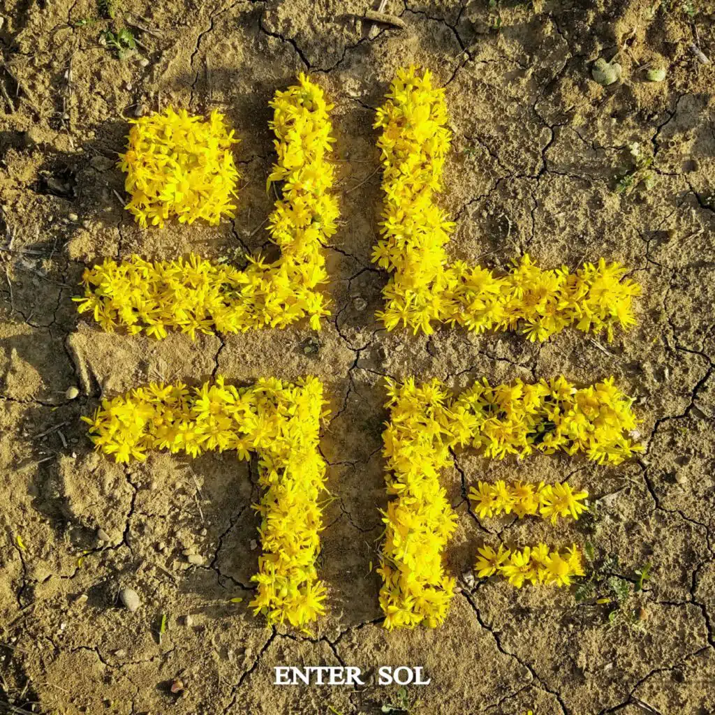 Enter Sol