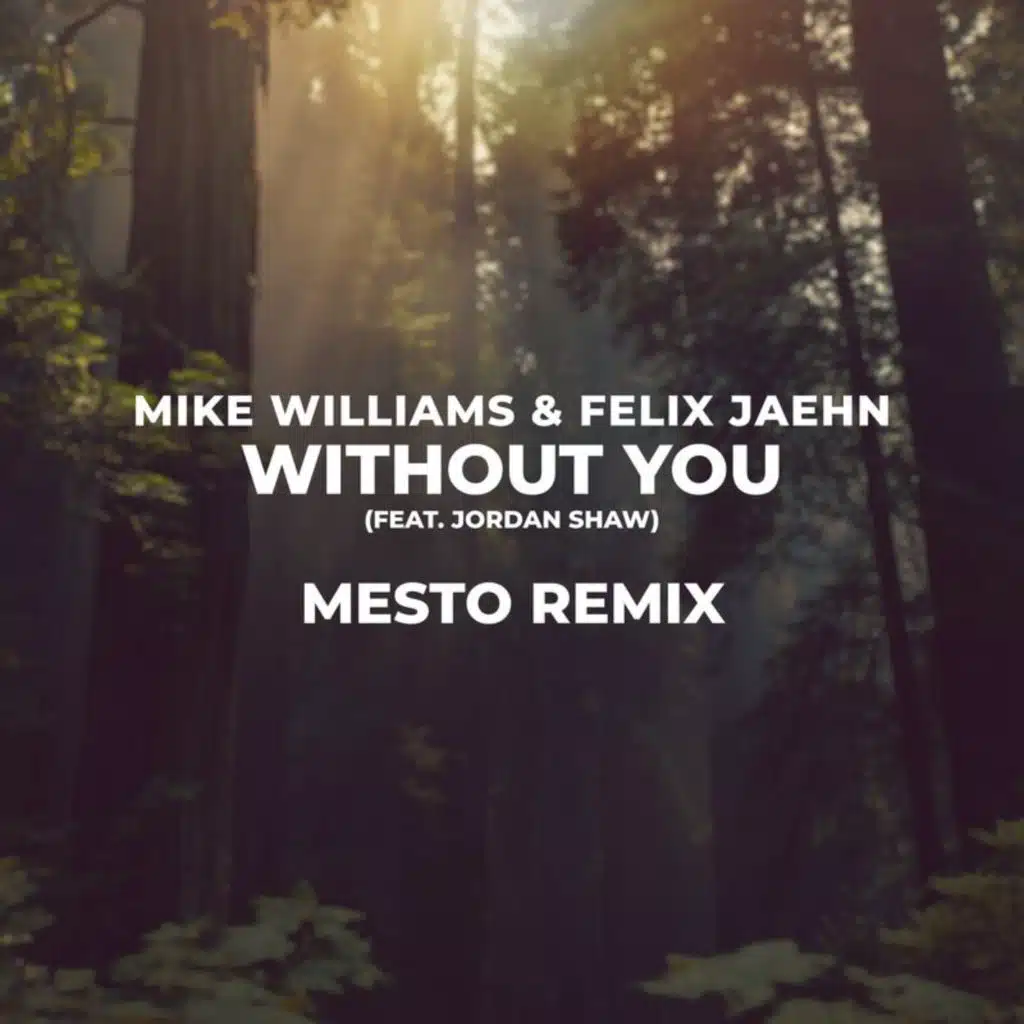 Without You (Mesto Remix) [feat. Jordan Shaw]