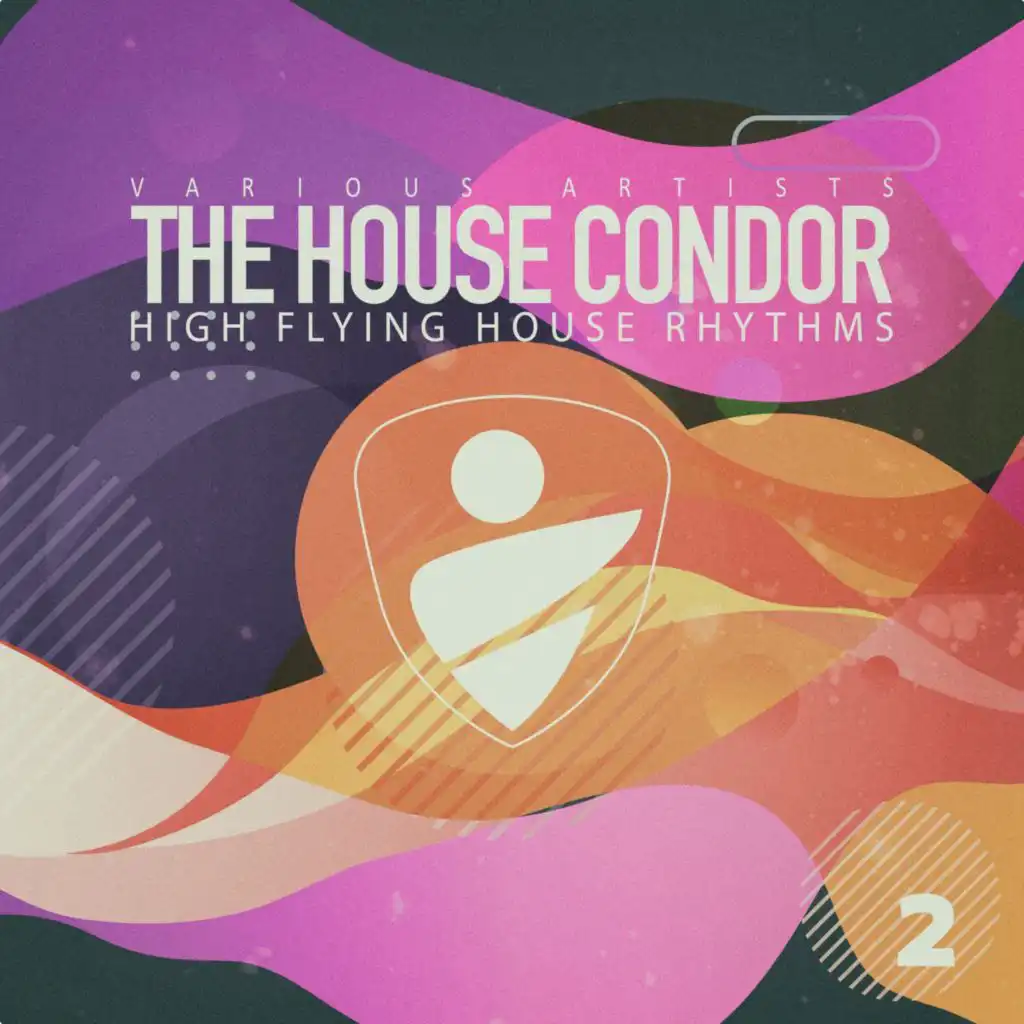 The House Condor, Vol. 2
