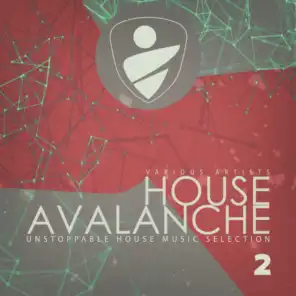 House Avalanche, Vol. 2