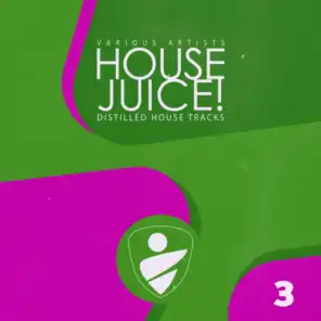 House Juice!, Vol. 3
