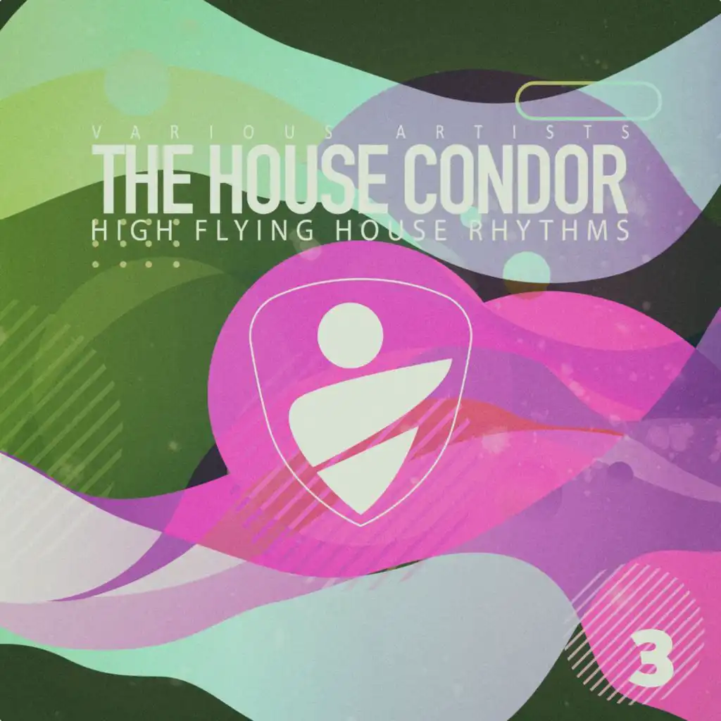 The House Condor, Vol. 3