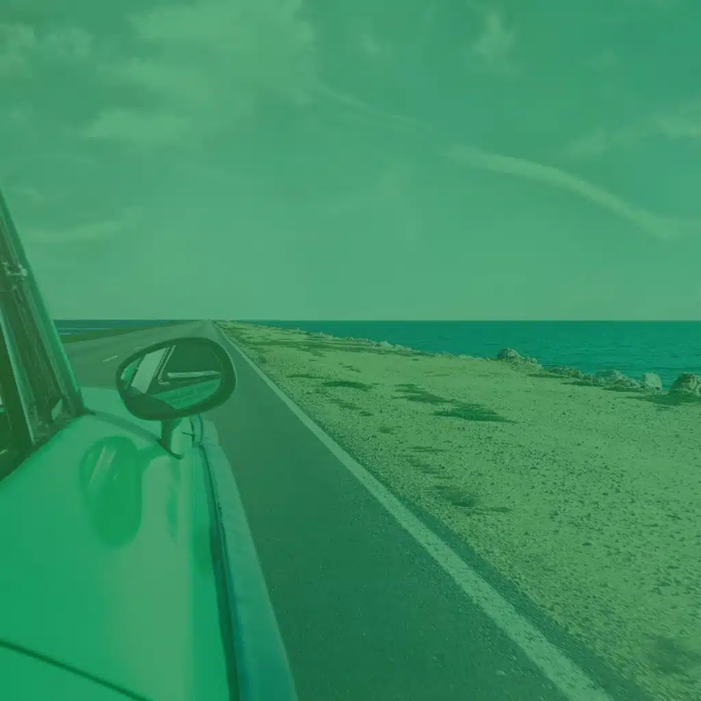 قيادة السيارات (المزاج)