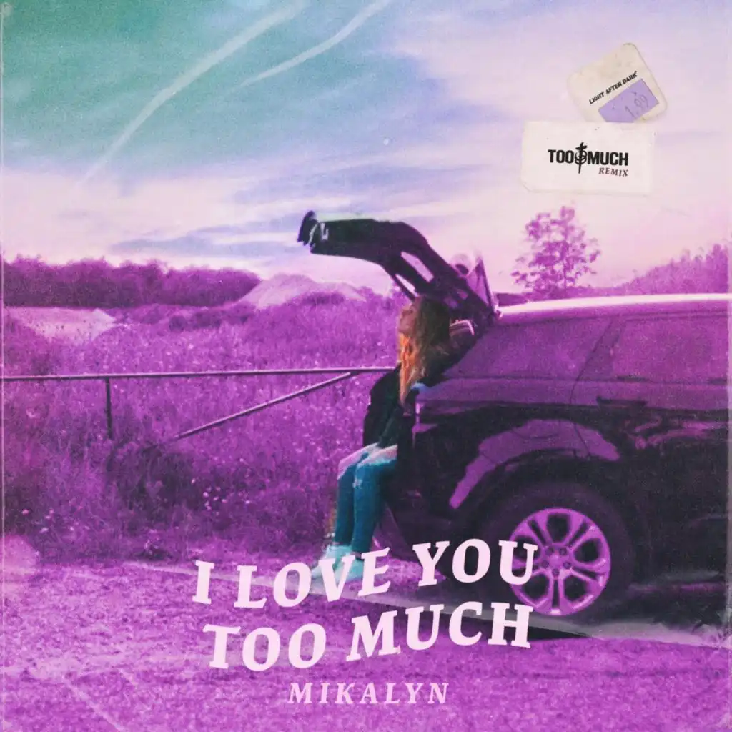 I Love You Too Much (Too Much Remix)