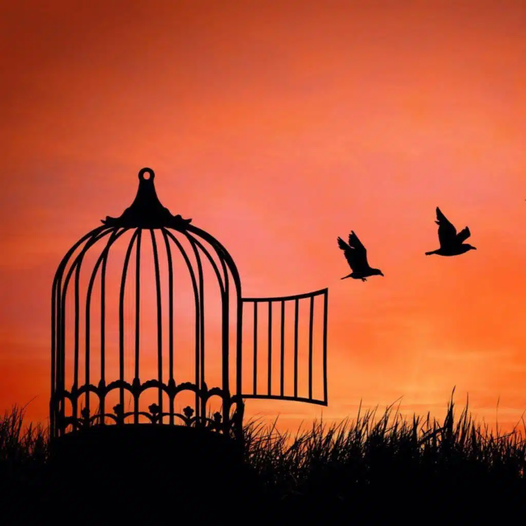 What Can I Do To Save The World? Ep 11