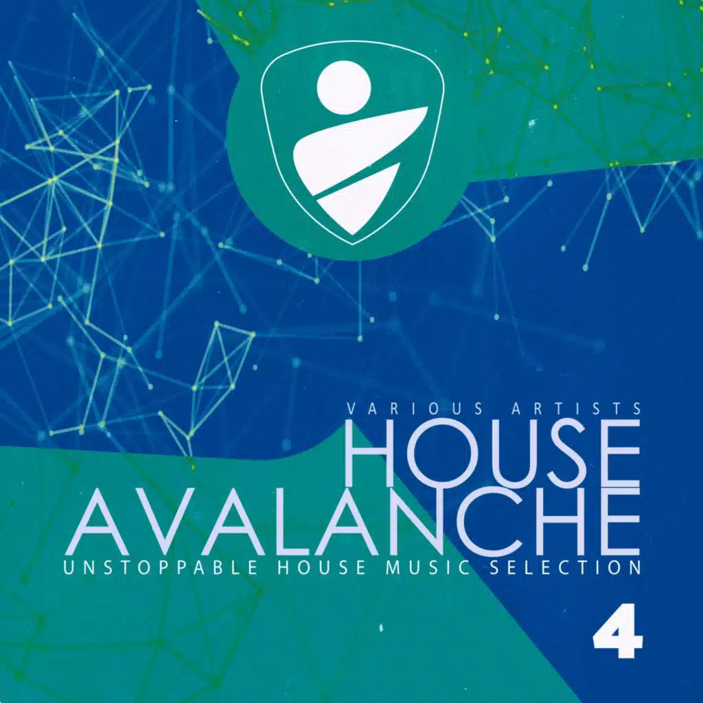 House Avalanche, Vol. 4
