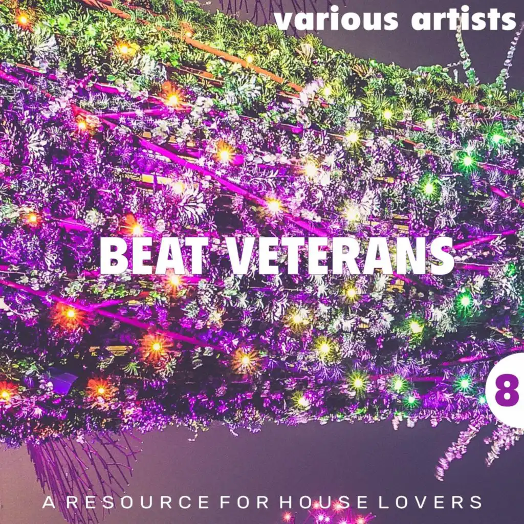 Beat Veterans, Vol. 8