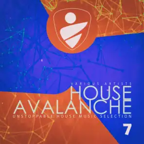 House Avalanche, Vol. 7