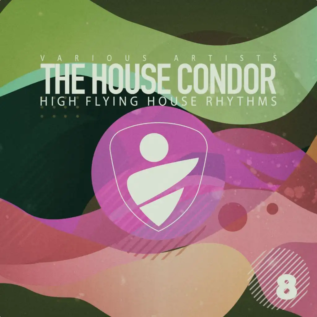 The House Condor, Vol. 8