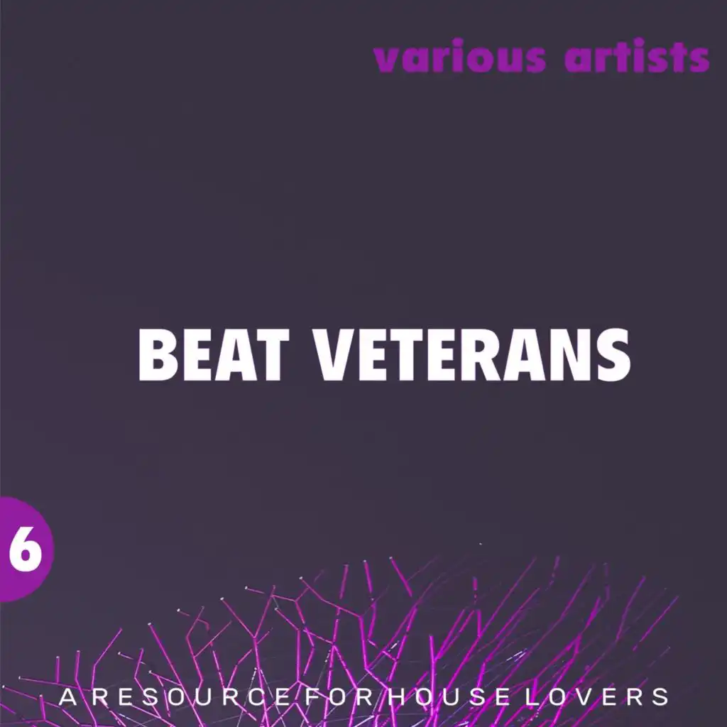 Beat Veterans, Vol. 6