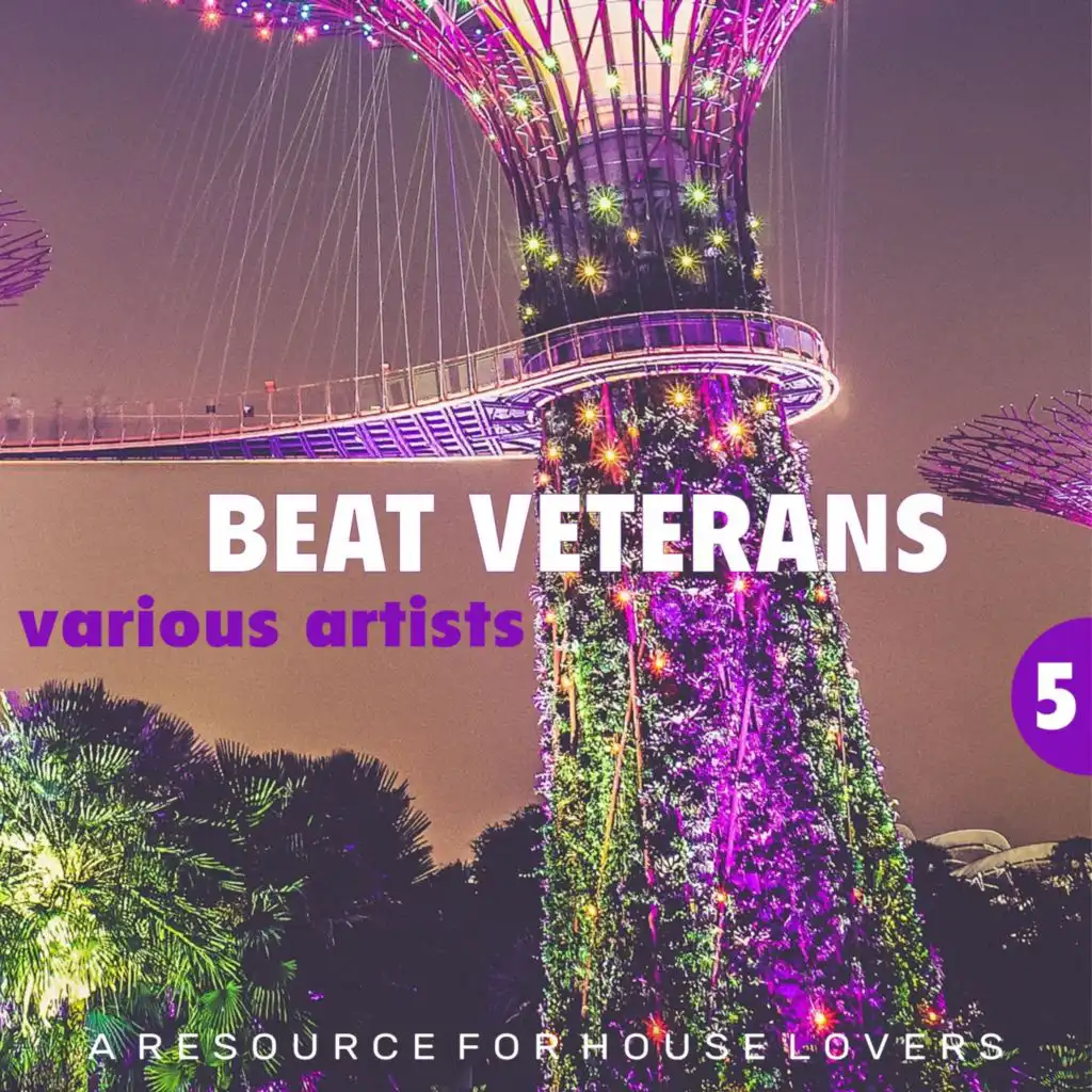 Beat Veterans, Vol. 5