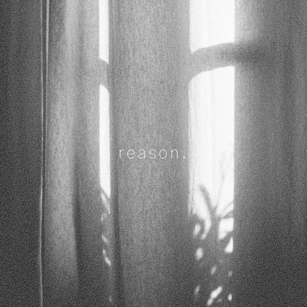 Reason (feat. Vict Molina)